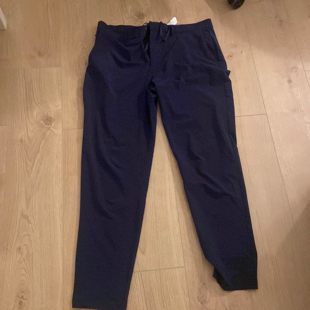 Fabletics pants